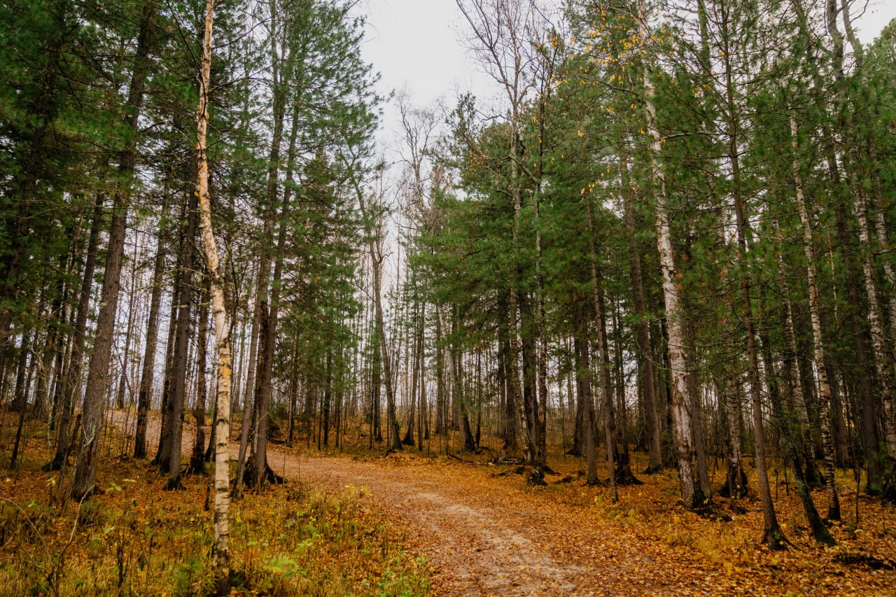 В Югре станет больше особо охраняемых природных территорий В Югре станет больше особо охраняемых природных территорий