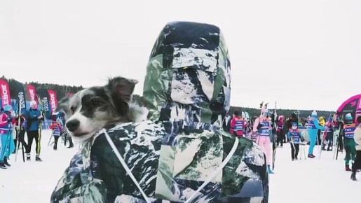 Югорский лыжный марафон приглашает туристов