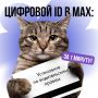  ID   MAX