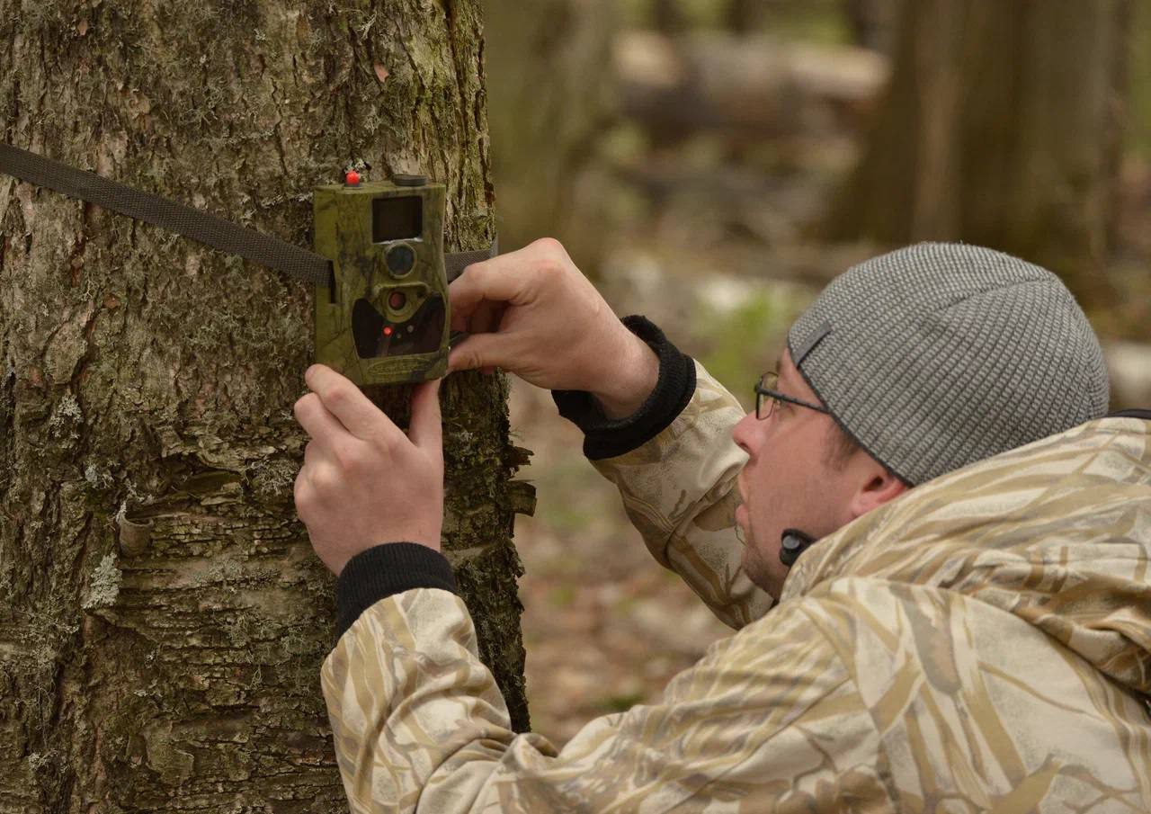В мире, где у многих работа связана с офисами и цифрами, есть люди, чей рабочий день начинается с хруста снега под ногами и заканчивается под пение птиц В мире, где у многих работа связана с офисами и цифрами, есть люди, чей рабочий день начинается с хруста снега под ногами и заканчивается под пение птиц