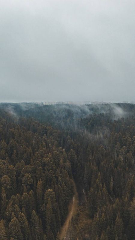 Нет тумана, из которого не было бы выхода