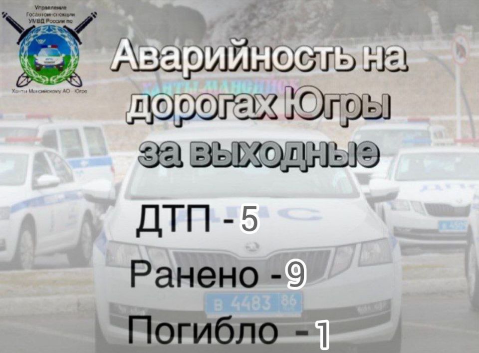 Сводка Госавтоинспекции за выходные (со 2 по 4 ноября 2025 года):