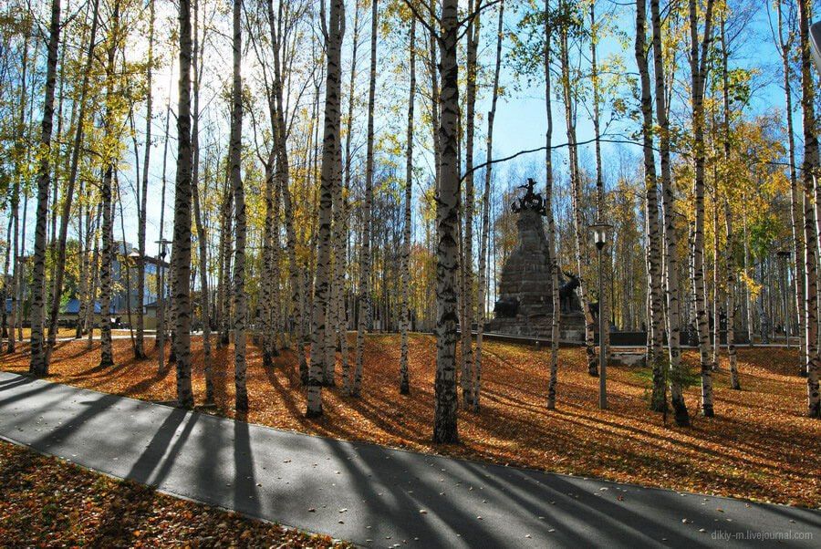 До 25 ноября жители округа могут решить, чему будет посвящен следующий год