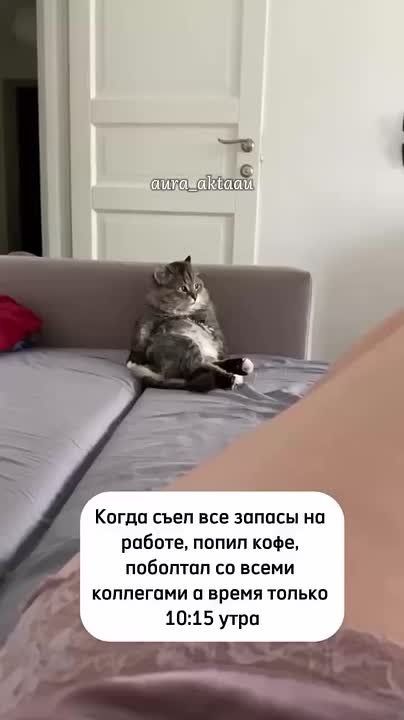 Немного юмора от админа. Узнали себя? Ставьте Подпишись на Новости Югры | Читать нас в MAX