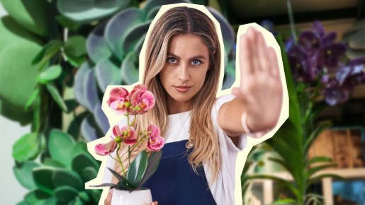 Цветоводов огорошили правдой об органических удобрениях: эту ошибку совершали многие