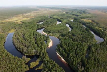 В 2026 году в трех регионах России власти снизят количество получателей пособия на ребенка: