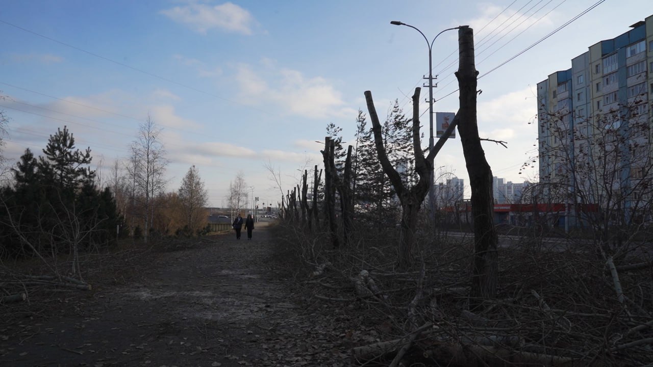 О работе специалистов МКУ «Лесопарковое хозяйство» по уходу за деревьями в городе рассказал Глава Сургута Максим Слепов О работе специалистов МКУ «Лесопарковое хозяйство» по уходу за деревьями в городе рассказал Глава Сургута Максим Слепов