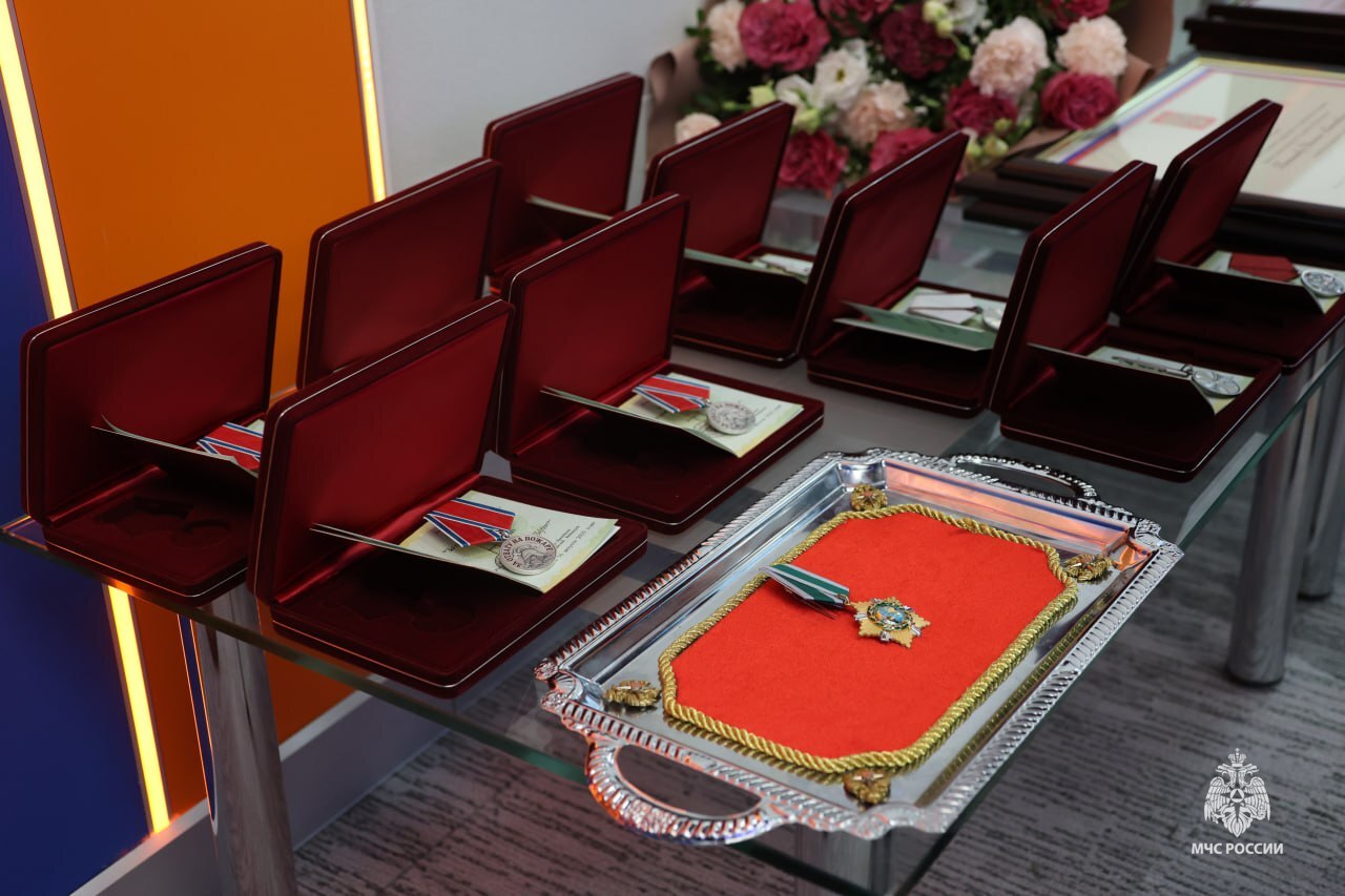 Награда за отвагу: Министр МЧС России вручил медаль огнеборцу из Сургута