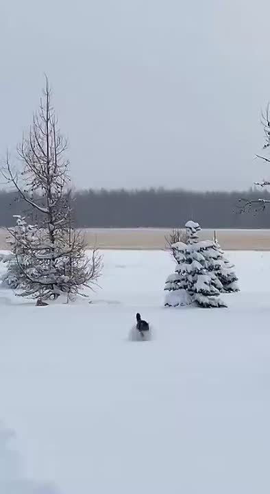 Рабочие будни позади!. Админ отправляется на выходные греться ароматным чаем и любоваться уютным снегопадом за окном Подпишись на Новости Югры | Читать нас в MAX