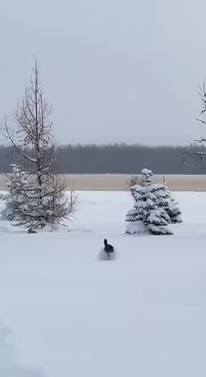 Рабочие будни позади!. Админ отправляется на выходные греться ароматным чаем и любоваться уютным снегопадом за окном Подпишись на Новости Югры | Читать нас в MAX