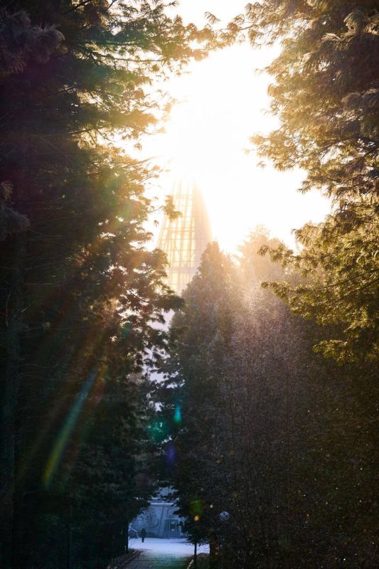 Говорят, время всё меняет. Но, по правде, это делает не время, а мы