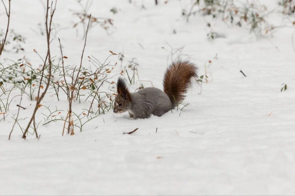 Истинная зрелость — это когда ты перестаёшь обвинять других и начинаешь брать ответственность за свою жизнь