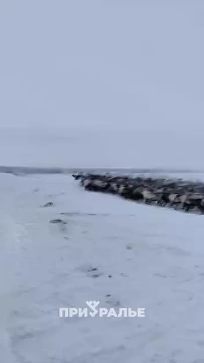 На трассе Сургут-Салехард, на повороте у Надыма образовалась пробка из-за переходящих дорогу оленей