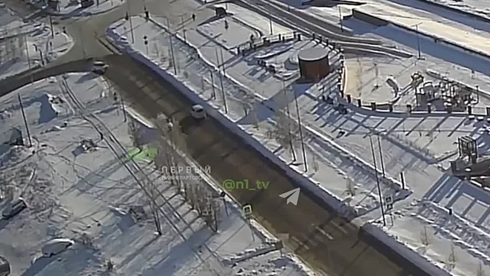 Бродячая собака набросилась на школьника