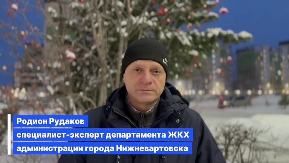 Официальный комментарий департамента ЖКХ администрации города по ситуации, произошедшей в районе набережной, связанной с нападением безнадзорной собаки на несовершеннолетнего