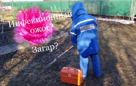 Как распознать ожоги на розах: загар или инфекция?