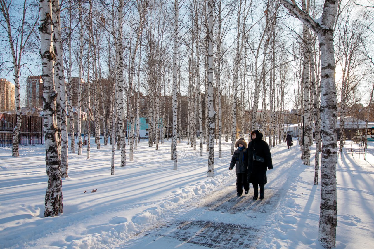 Скверы и парки Сургута очищают от снега Скверы и парки Сургута очищают от снега
