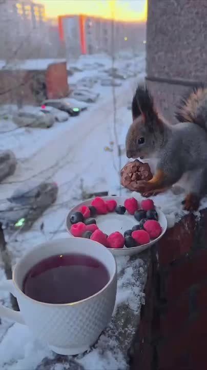 Жизнь слишком коротка, чтобы просыпаться утром с сожалениями