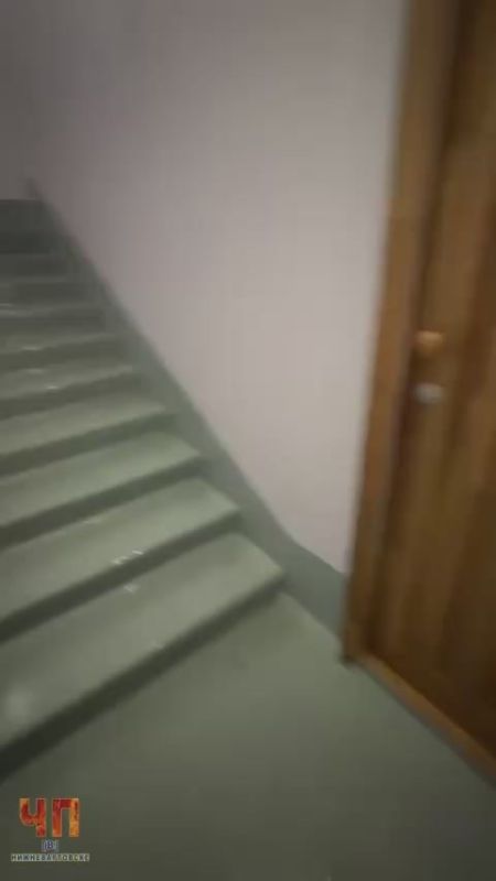 Все течет на Заводской, 26