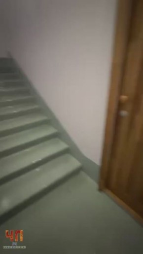 Все течет на Заводской, 26