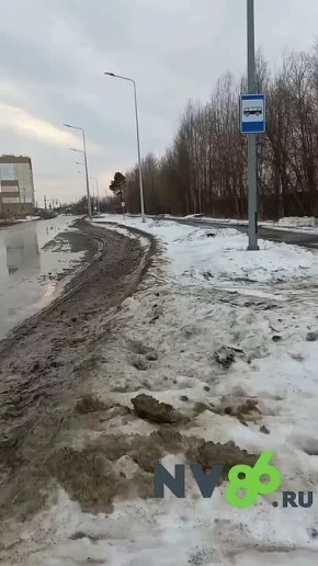 Автобус высадил вартовчан в грязный сугроб