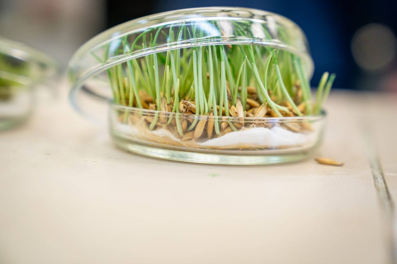 Югра — в топ-5 России по заявкам на Национальную технологическую олимпиаду Югра — в топ-5 России по заявкам на Национальную технологическую олимпиаду