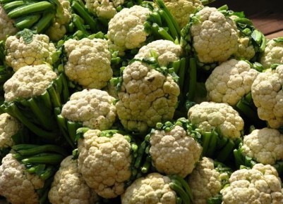 Цветная капуста: советы по идеальному урожаю