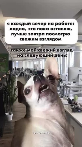 Начинаем утро с юмора от админа!