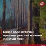 В Югре завершилась традиционная природоохранная акция «Чистый лес», которая проводится дважды в год - весной и осенью