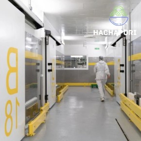 Роботы на кухне: реальность или фантазия будущего?