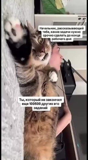 Немного юмора от админа. Кстати, уже завтра пятница Подпишись на Новости Югры | Читать нас в MAX