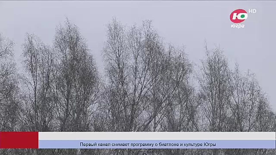 Когалымские школьники ушли на дистант из-за непогоды