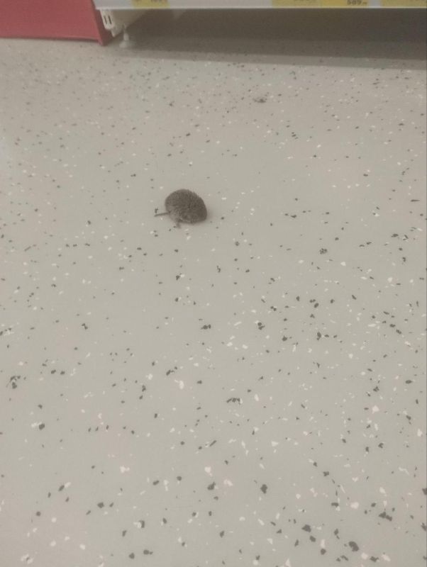 Интересную находку публикуют вартовчане в соцсетях