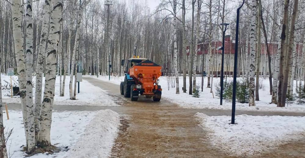 Резкие перепады температур последних дней стали причиной гололедицы на улицах города