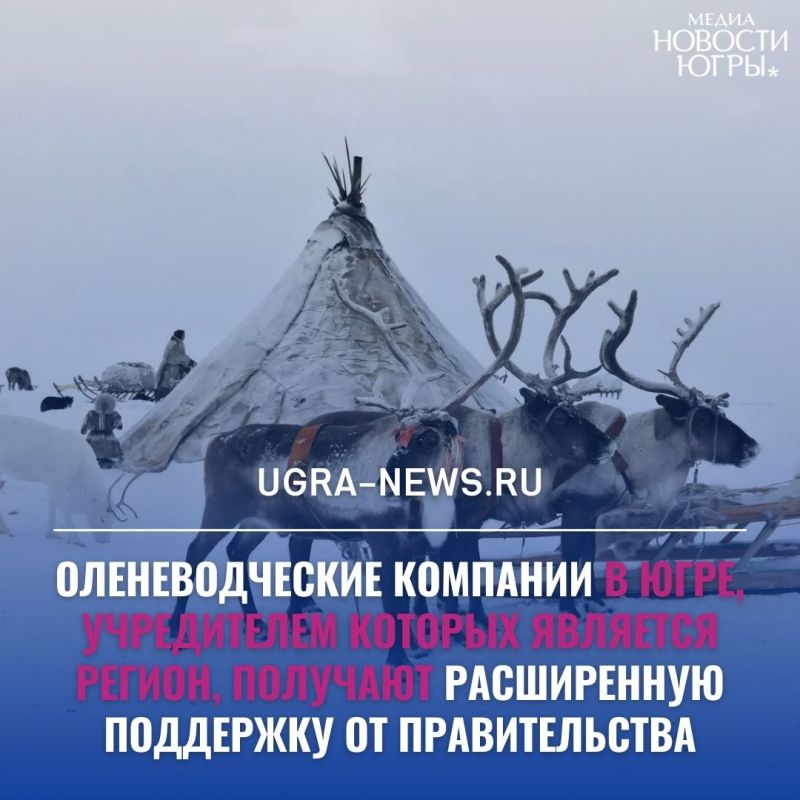 В Югре оленеводческие компании получают расширенную поддержку