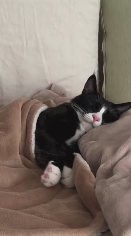 Наконец-то пятница! Рабочая неделя официально завершена