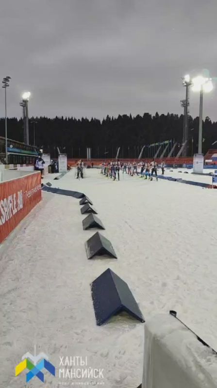 � �����-��������� ���������� ���� ����� GV Gold ����� ������������� ���� �������� ��������