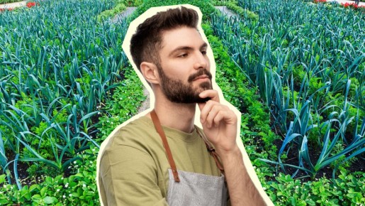 Никогда не сажайте чеснок рядом с этими овощами: сгниет весь урожай