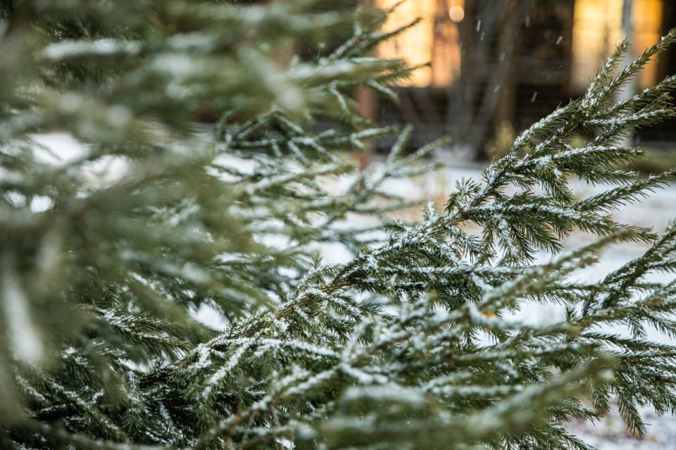 � �������������, ������. �� ��������� �������� ����� ��� ��������� �������� � �������� ������ � ��� ������� ��������� ������ � ���� �� ����������� ������� ������