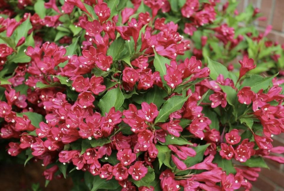 ����� �������� ������� �� ����: ������ �� ����� �� ��������� � ������� ������