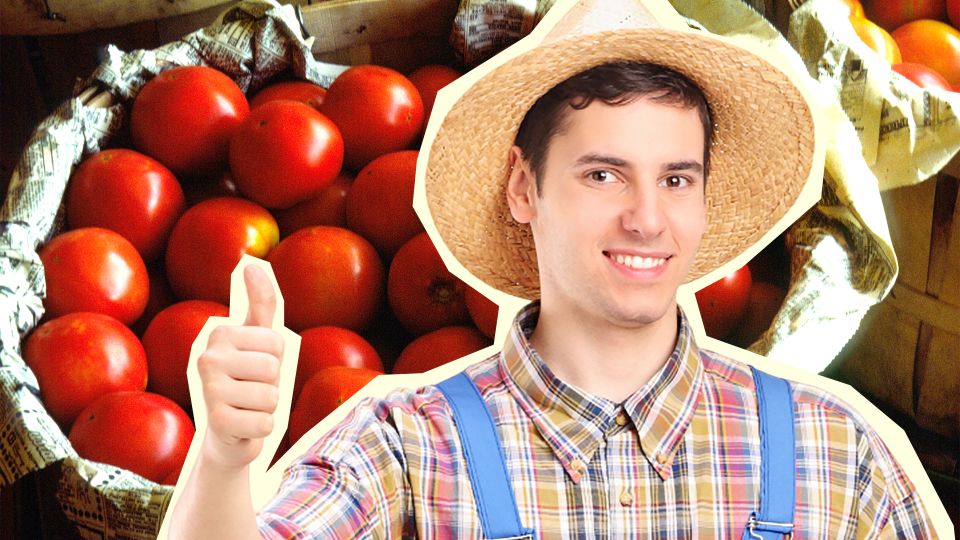 ������ ����� ���� ��������: ��� ����� �������� ������ ��� ������� ���� � �������