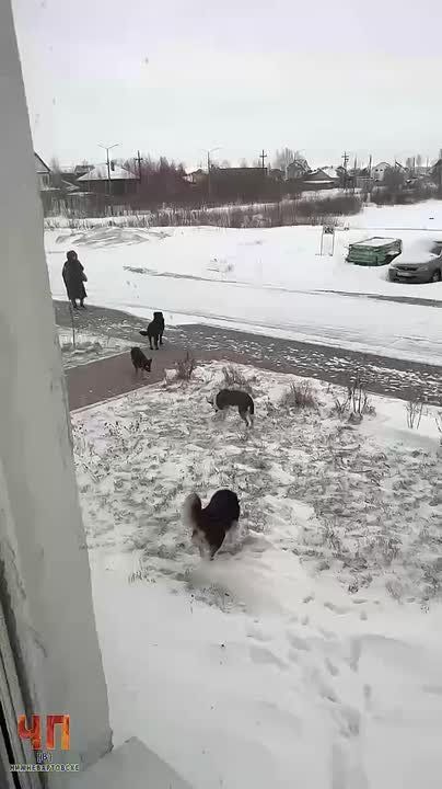 Очередь в детскую поликлинику в Старом Вартовске