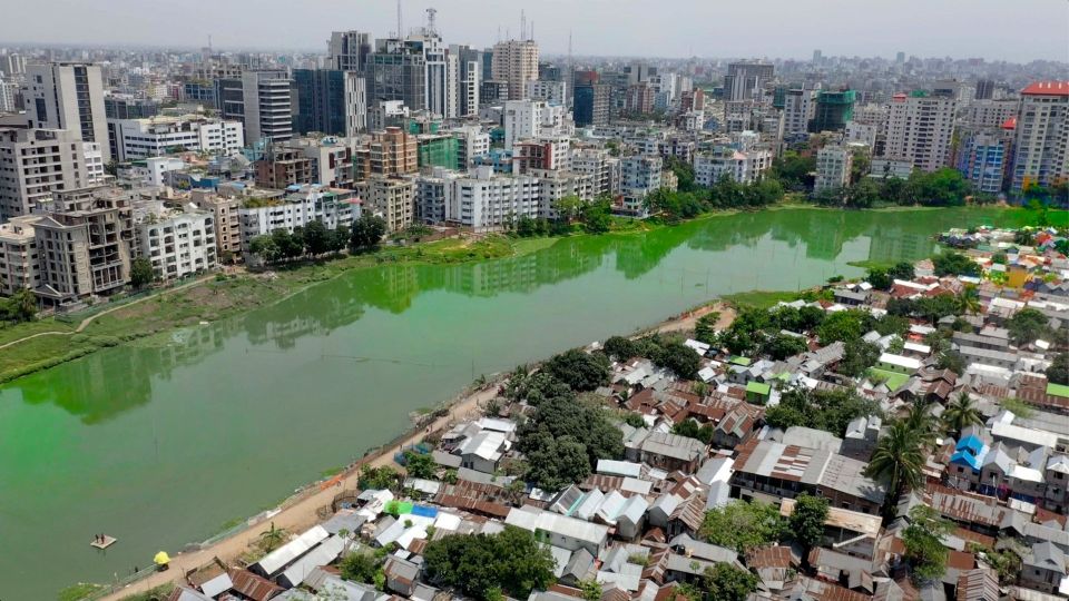 Вот чем опасна «цветущая» вода в водоемах: сто раз пожалеете, что купались в ней