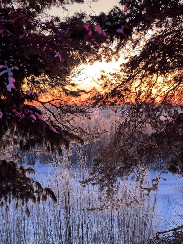 Спокойствие — не в отсутствии бурь, а в умении сохранять мир в душе, несмотря на них