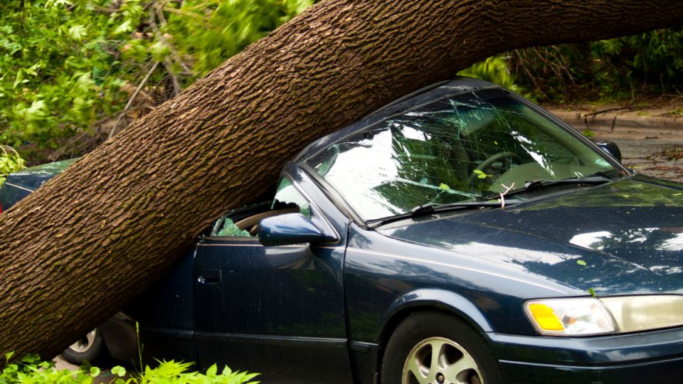 Когда городской хаос приводит к ущербу: история женщины и упавшего столба
