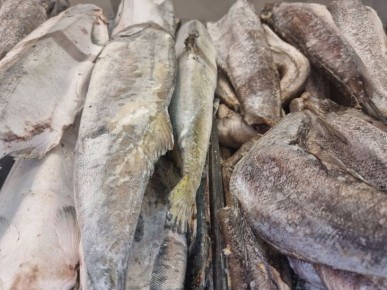 Филе минтая вместо трески: какая рыба на самом деле лучше