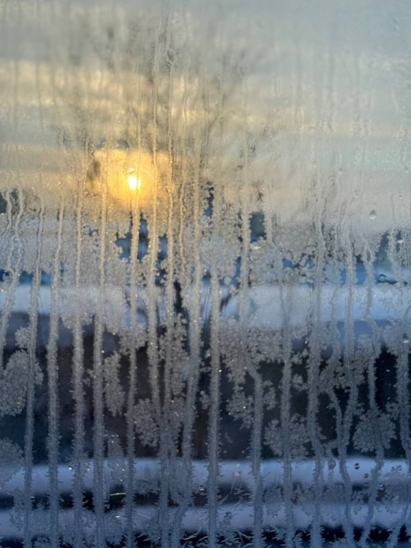 Каждый день, когда ты выбираешь себя — это шаг к внутренней свободе