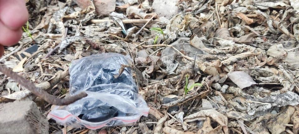 �� 8 ��� ������� ������� �� ��������������� ������ � �������� �������� ������� ���� �� �. �������