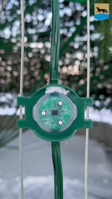 Сургут готовится к Новому году