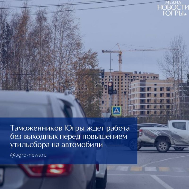Таможня в Югре работает в выходные из-за ажиотажа с иномарками